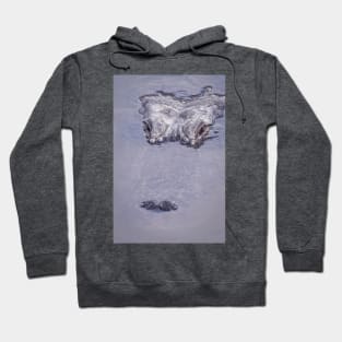 Alligator Lurking In the Water Hoodie